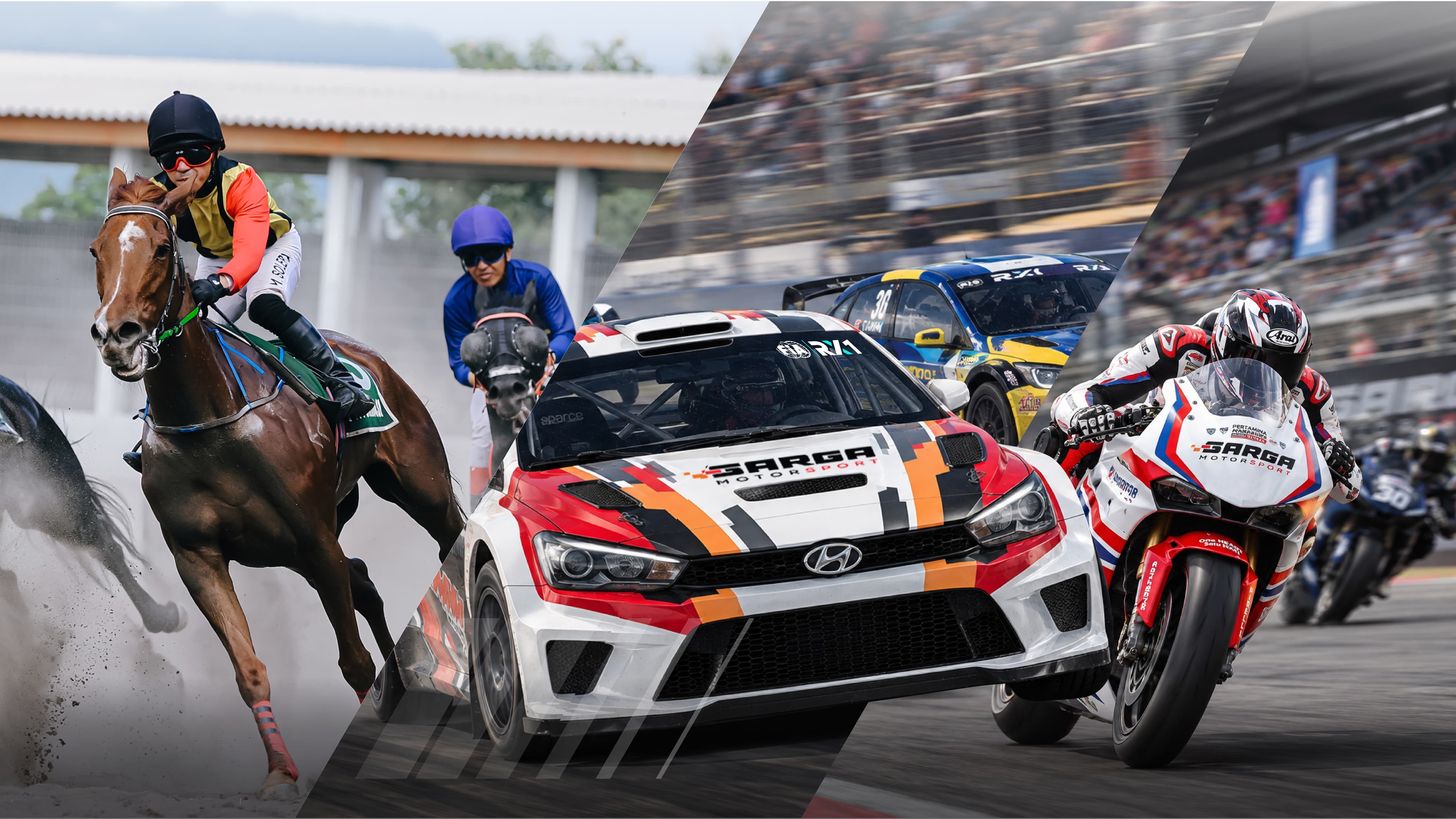 SARGA.CO horse sport, football, and motorsport campaign artwork