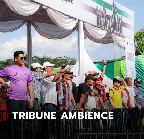 TRIBUNE - Tribune Ambience