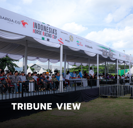 TRIBUNE - Tribune View