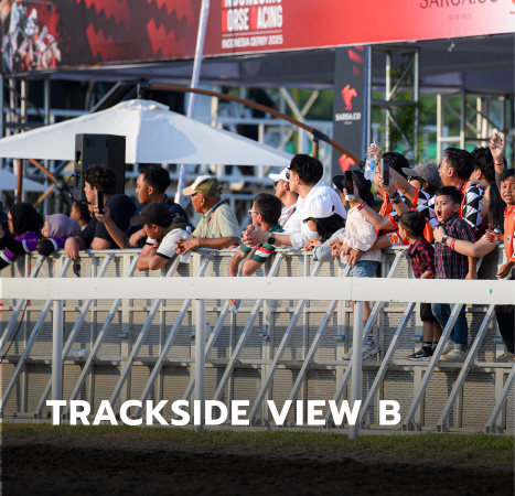 VIP 2 - View Reguler-3